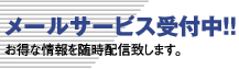 ���[���T�[�r�X��t��
