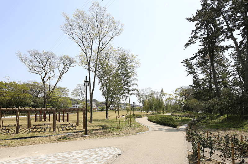 公園整備工事（松並木公園）