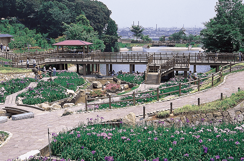 公園整備工事（赤塚山公園しょうぶ園）