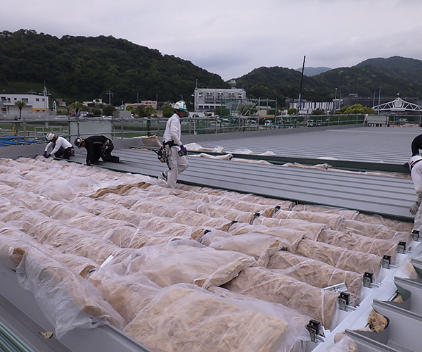 海陽ヨットハーバー整備工事　屋根工事3