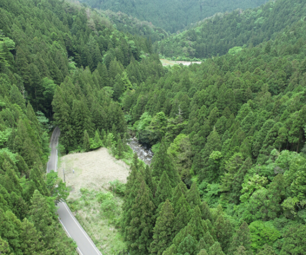 令和元年度 設楽ダム瀬戸設楽線大名倉地区工事用道路工事①1