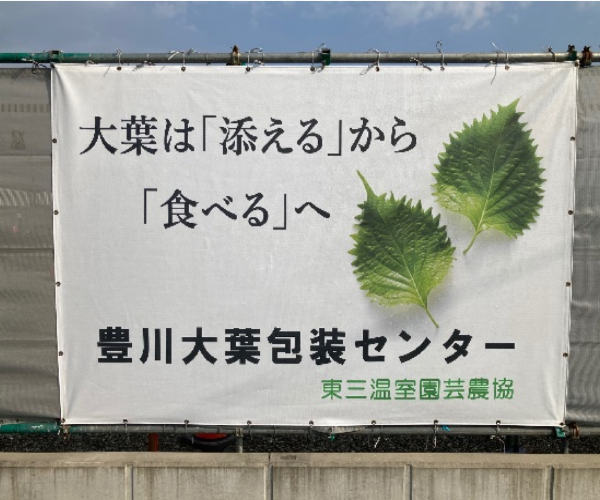 工事名:東三温室園芸農業協同組合 大葉集出荷貯蔵施設 建屋新築工事3