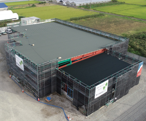 工事名:東三温室園芸農業協同組合 大葉集出荷貯蔵施設 建屋新築工事4