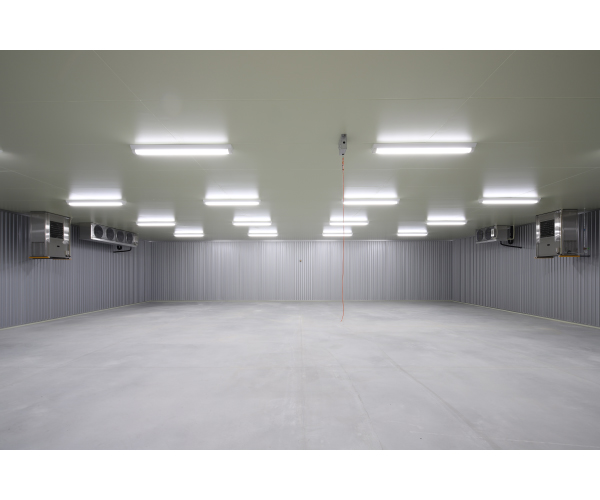 工事名:東三温室園芸農業協同組合 大葉集出荷貯蔵施設 建屋新築工事(内観写真)3