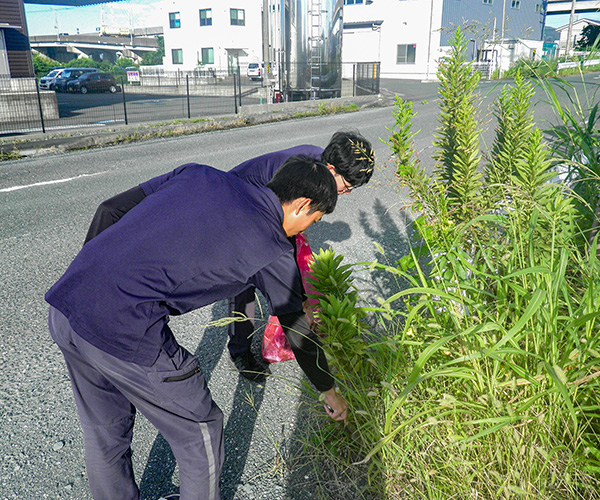 豊川市清掃の日1